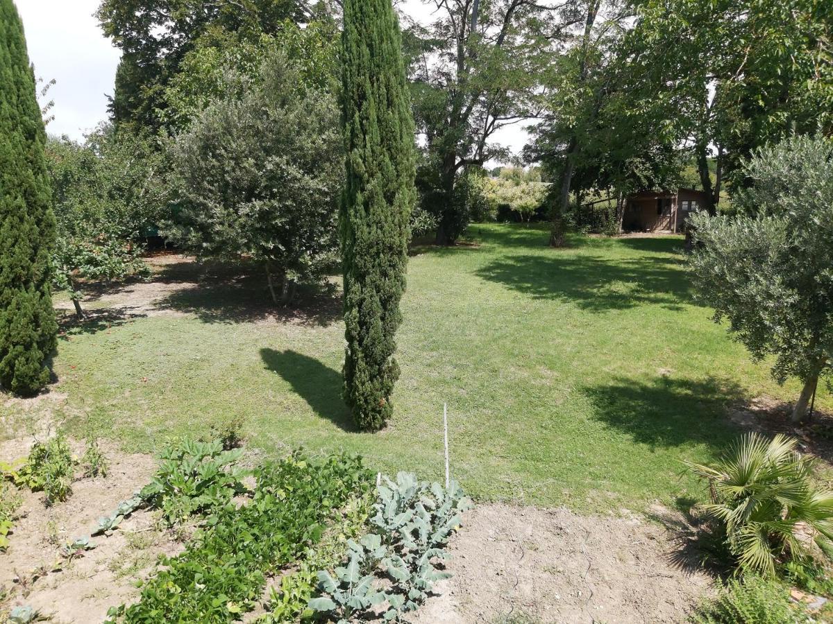 O Nature Cheris Mes Voeux Avant Qu'Ils S'Enfuient Francescas Exteriér fotografie