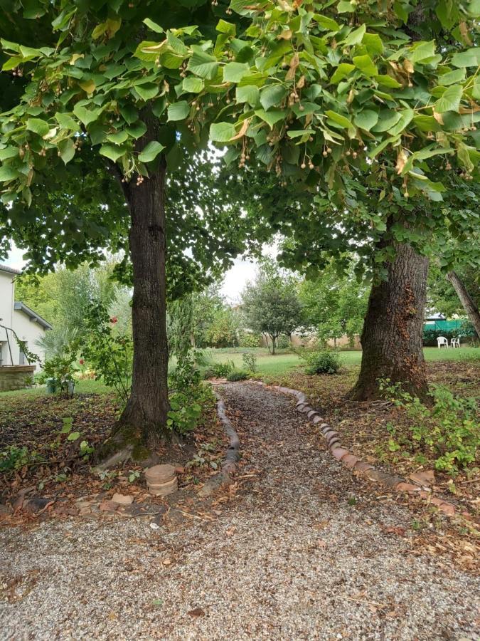 O Nature Cheris Mes Voeux Avant Qu'Ils S'Enfuient Francescas Exteriér fotografie